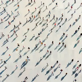 harneysons茶企业介绍